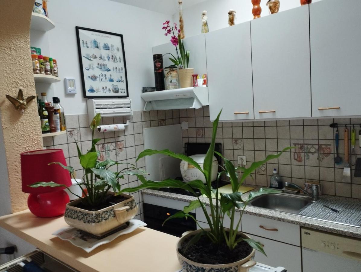 Chambre D'Hote Dans Maison Individuelle Saint-Malo Esterno foto
